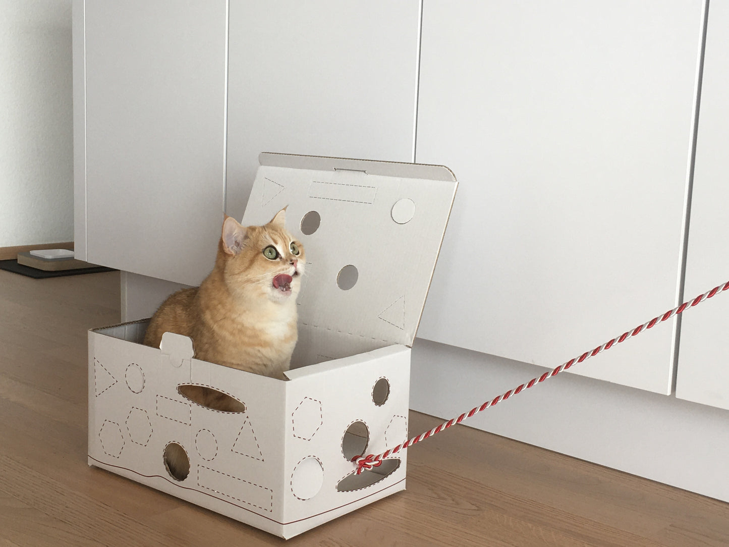 Die original CatSnackBox - das Katzenspielzeug!