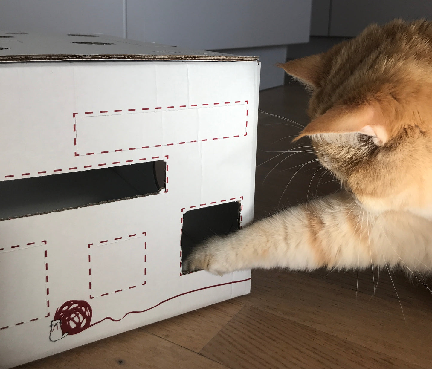 Die original CatSnackBox - das Katzenspielzeug!